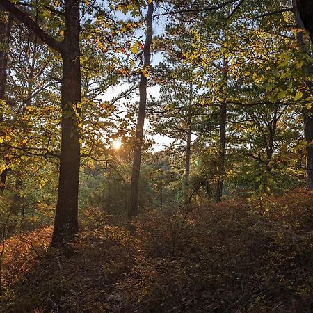 Loblolly Pines Adventure Cabin 3 - King Eureka Springs Exteriér fotografie